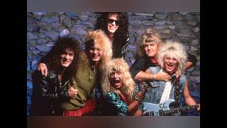 Poison  Unskinny Bop guitar Backing Track With Vocal