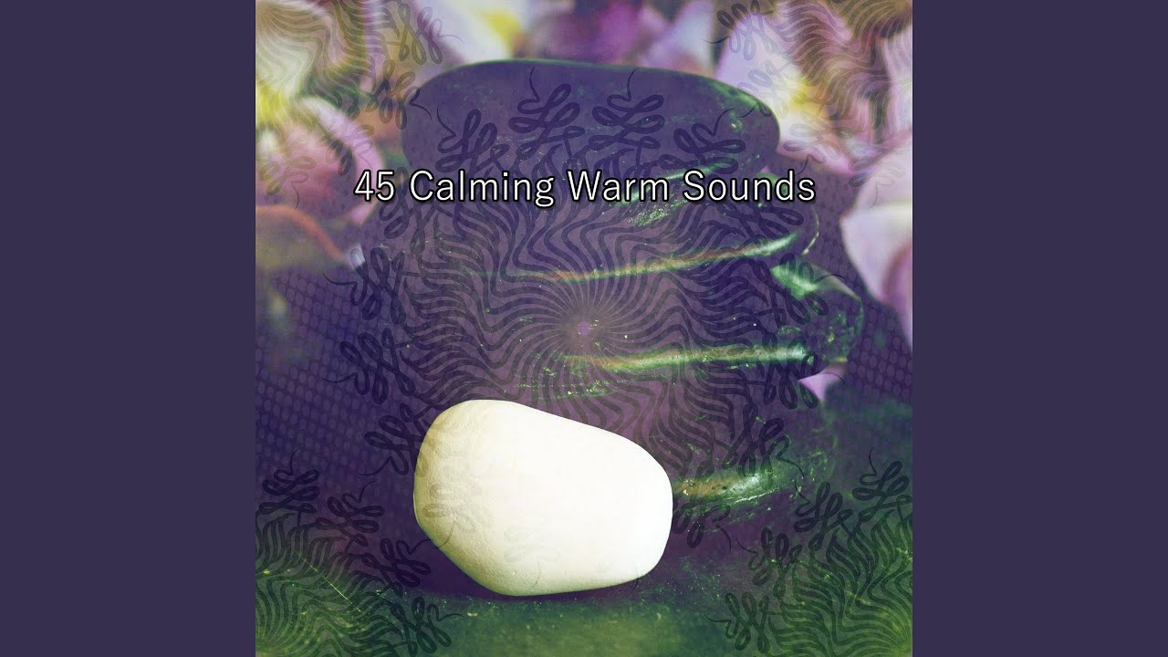 Meeting Of The Extra Terrestrial