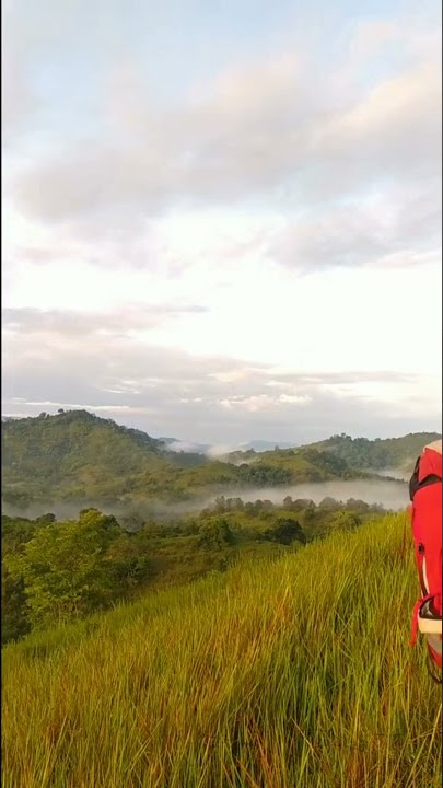 Story wa pemandangan pegunungan#shorts