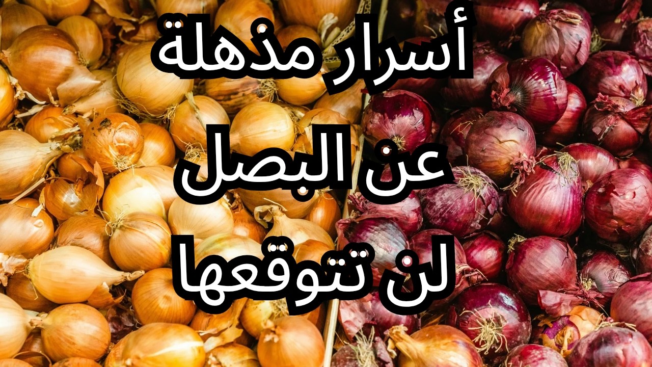 فوائد وأضرار البصل | كنز صحي مذهل في مطبخك لا تتجاهله!
