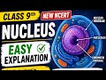 Nucleus Class 9 Science | Structure & Function Easy Explanation,#science #biology #class9 #nucleus