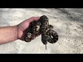 Middle of video