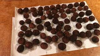 Famous HOW I CRACK BLACK WALNUTS Wealth
