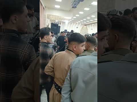 خواننده فردین صالحی بوک زاوا کورد گورانی کوردواری حنابدان شایی هلپرکه سرچوپی
