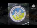 Собака-герой України 2024 - доберман Лекса (Кінологічний пошуково-рятувальний загін «Команда Азарт»)