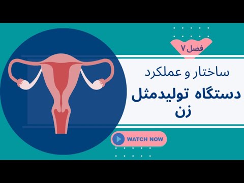 تصویری: نحوه برخورد با نمره بد: 11 مرحله (همراه با تصاویر)