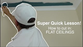 Super Quick Lesson: How to cut in the flat of a ceiling. by Brolux Painting 3,720 views 3 years ago 2 minutes, 29 seconds