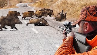 HEYECAN DOLU YABAN DOMUZU AVI / HIGH ADRENALIN WILD BOAR HUNTING, HOG HUNTING, PIG HUNTS, WILD LIFE screenshot 4