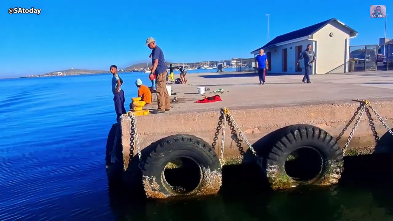 Boat trip into the harbour of Saldanha Bay