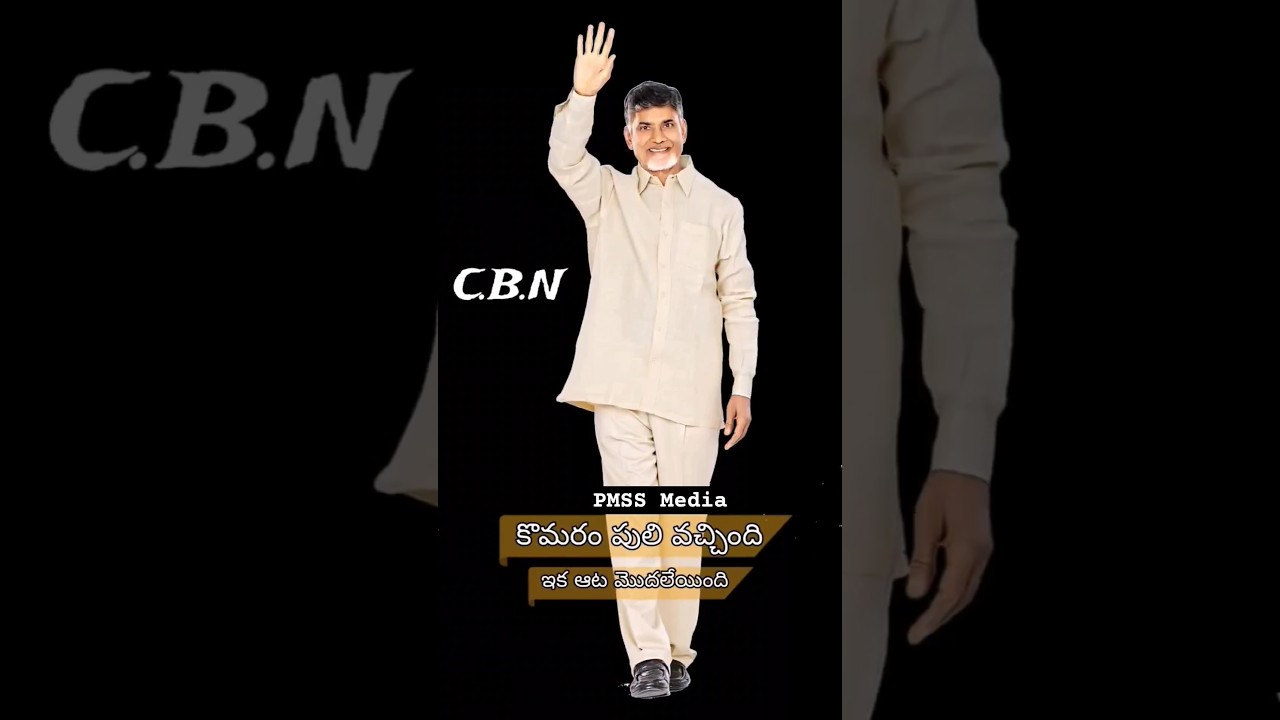 Chandrababu naidu Bail 