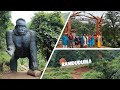Visit Rani Duduma Waterfalls: The Queen’s Cascade of Koraput, Odisha on Machkund river.[ KORAPUT 2 ]