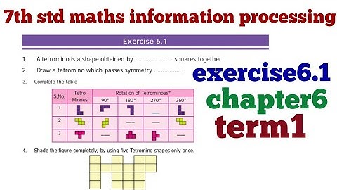 7th std maths information processing exercise6.1 chapter6 term1 tamil