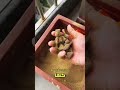 خدعة بصرية مجنونة ما رأيته لم يكن كما توقعت