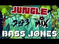 Jungle mix 2023  drum and bass  ragga  dj bass jones