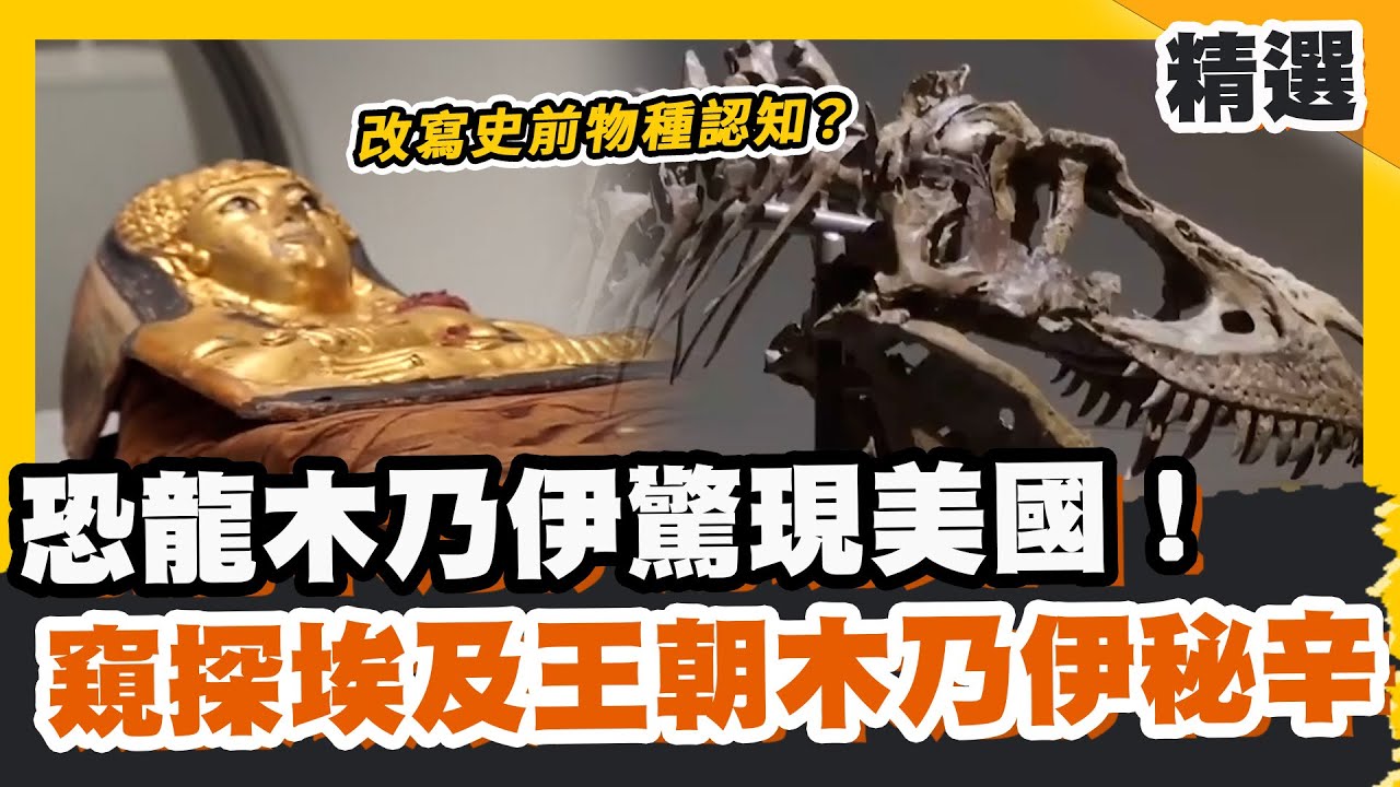 恐龍木乃伊驚現美國！改寫史前物種認知？窺探埃及王朝木乃伊秘辛【#優選話題】#木乃伊#恐龍#埃及