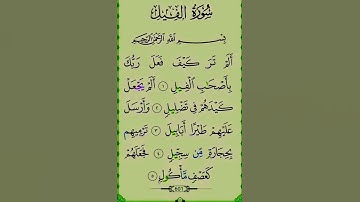 سورة الفيل بصوت الشيخ #سعد الغامدي#deut  #🇰🇼