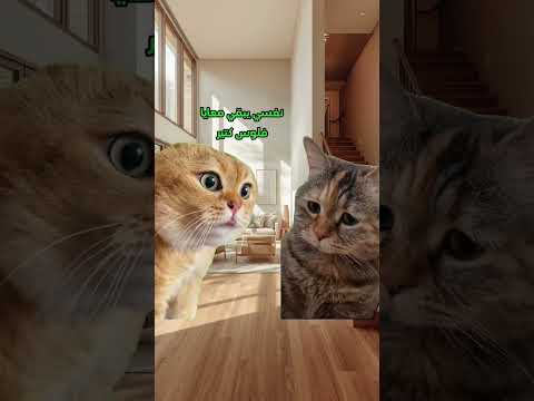 هو انت صدي صوت هنا ولا ايه لايك