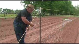 Crop Netting and Pole Beans  April 2010  Growing a Vegetable Garden