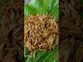 Small Fish Recipe Adivasi Style Fish Pat Poda Shorts Shortvideo Recipe Small Fish Recipe Adivasi Style Fish Pat Poda Shorts Shortvideo Recipe