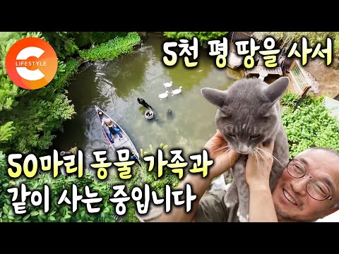 서울에서 20년 동안 운영하던 슈퍼마켓 접고 5천 평 땅을 샀다ㅣ초대형 땅을 구입하고 50여 마리 동물들을 키우며 꿈꾸던 꽃밭을 가꾸고 사는 중년 부부의 상상 정원ㅣ#한국기행