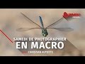 Conférence Lozeau - Samedi de photographier en macro