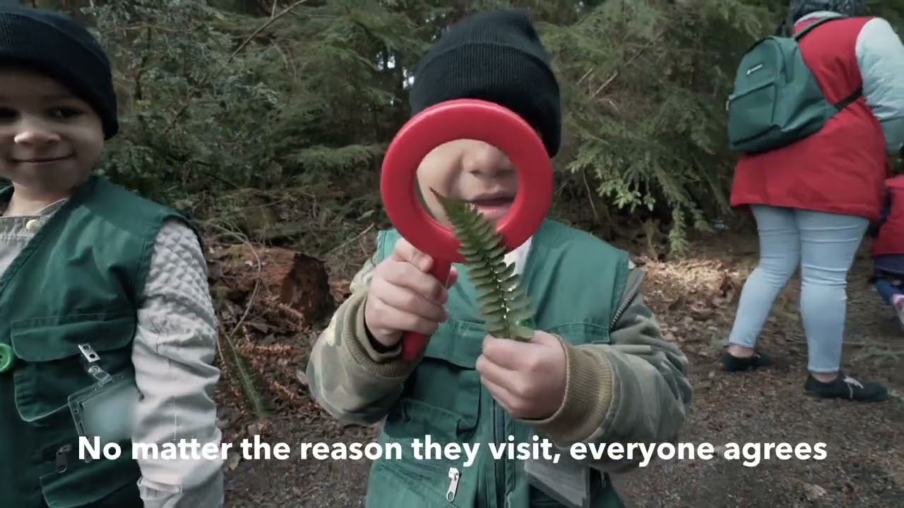 Parks Tacoma – puddles