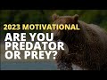 2023 Motivation - Are you Predator or Prey?