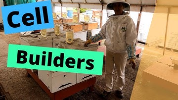 Setting up Cell Builders