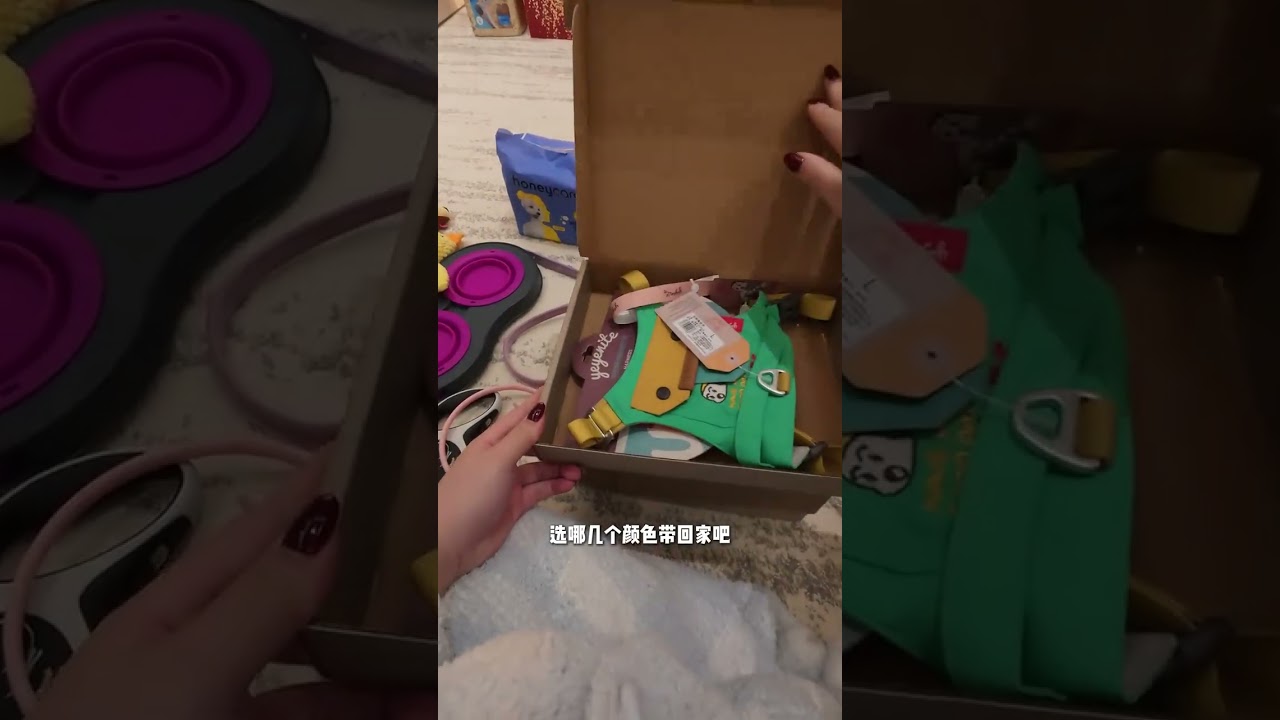 The dog-owning couple went back to their village for the Spring Festival for half a month