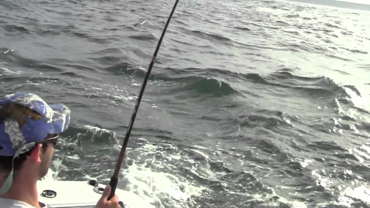 Montauk Point Fishing - Striped Bass and Blues