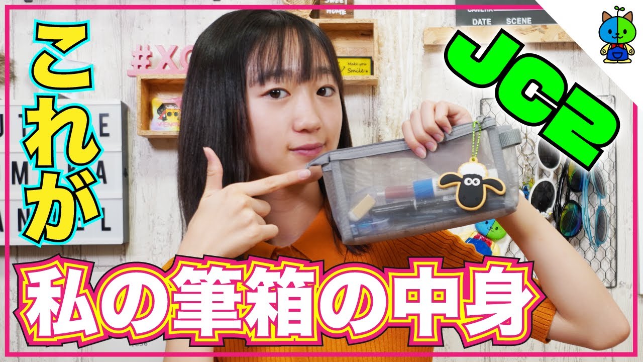 筆箱紹介 中学2年生がガチで使う文房具を大公開 ももかチャンネル 的youtube视频效果分析报告 Noxinfluencer