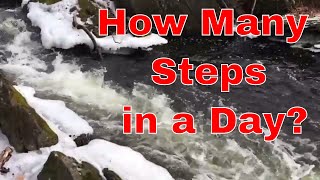 10000 steps, How many steps in a day do you do? screenshot 5