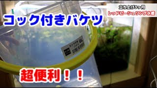 【コック付きバケツ6L】生体に負担なく水換え出来るバケツを買いました♪