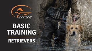 Basic Training :: Retrievers by SportDOG Brand 308,381 views 4 years ago 8 minutes, 5 seconds