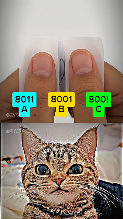 Only 0.1% of people can find this number đ #cat #meme #funny