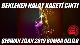 Beklenen Yeni̇ Halay Kaseti̇ Çikti Şerwan Zi̇lan