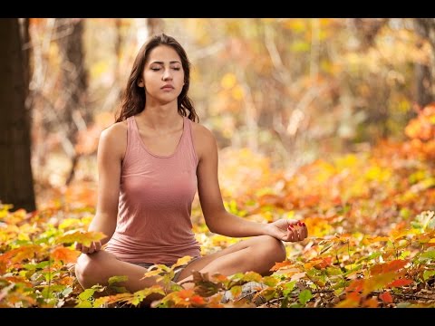 6 Hour Deep Healing Music: Relaxing Music, Meditation Music, Soothing Music, Relaxation Music, ☯677