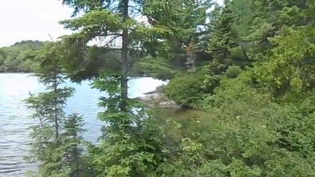 Little Eagle Lake Algonquin Park YouTube