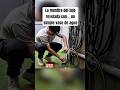 Así convirtió agua del grifo en un negocio de 1000 dólares