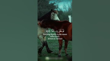 حالات واتس اب دينية🌿سورة العاديات🌿💚
