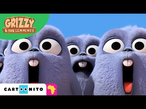 Grizzy And The Lemmings In Africa! | Cartoonito Africa