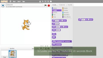 Scratch - Say Hello for 2 Seconds