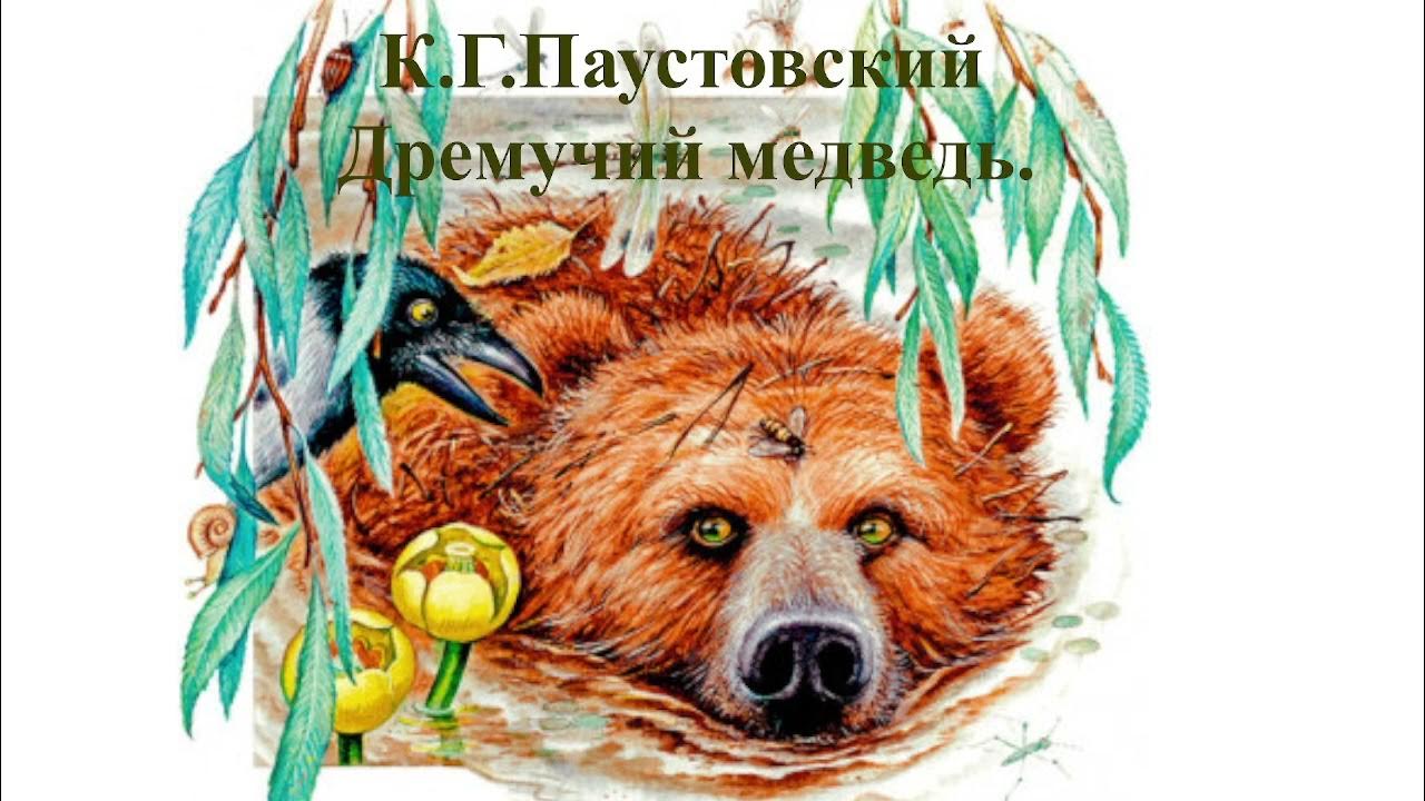 Кто откусил хвост медведю из сказки паустовского. Дремучий медведь паустовский. Сказка константина паустовского дремучий медведь. Паустовский дикий медведь. Почему у медведя короткий хвост.