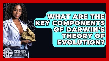 What Are the Key Components of Darwin