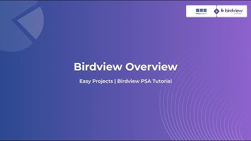 Birdview Professional Services Automation (PSA) Overview - Birdview & Easy Projects Tutorial