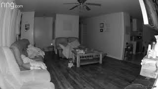 Some big orbs setting off my motion activated Ring camera.
