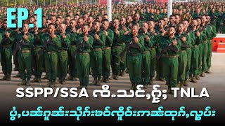 SSPP/SSA ၸီႉသင်ႇႁႂ်ႈ TNLA ပွႆႇပၼ်ၵူၼ်းသိုၵ်းၶဝ်ၸိူဝ်းဢၼ်ထုၵ်ႇၺွပ်း EP1 /29/5/2024