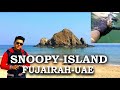 Snorkeling in Snoopy Island (Fujairah-UAE)
