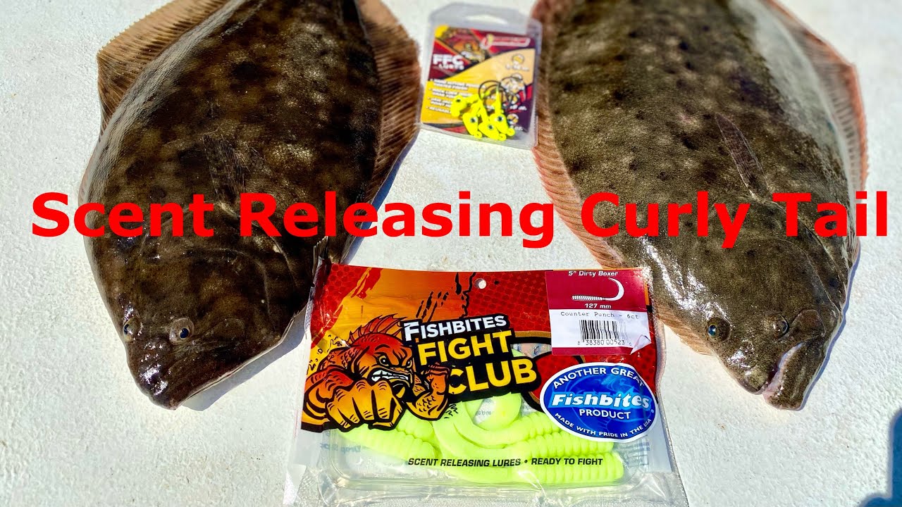 How To Target Flounder Using Fishbites Fight Club's Dirty Boxer (Curly  Tail) 