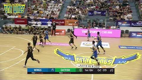 #Highlight VBA 2019 | Tổng hợp những pha block "lùn người" của Wayne Martin!